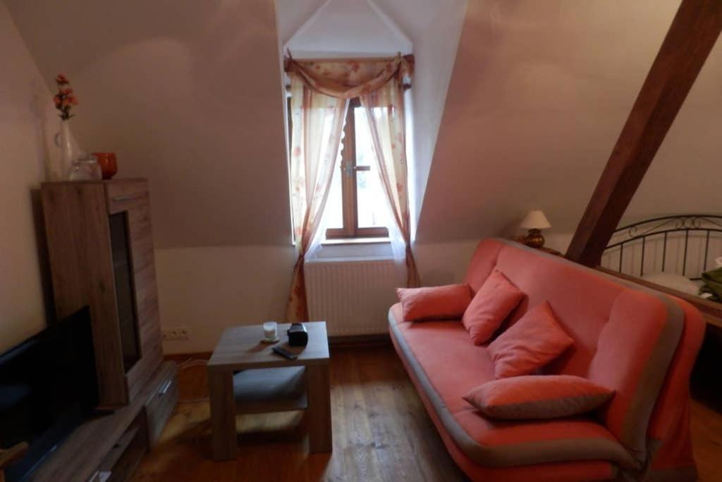 Zámeček Zdíky - Moderní velký apartmán Bujanov Esterno foto